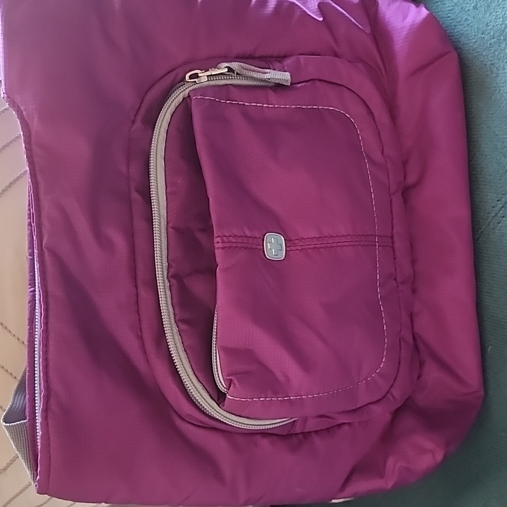 Swiss Gear crossbody